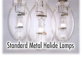 Probe Start Lamps - Enclosed Rated