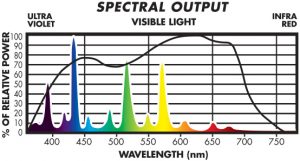 COOL Spectrum Graph