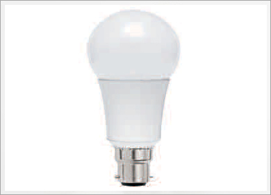  Vision Bulb 
