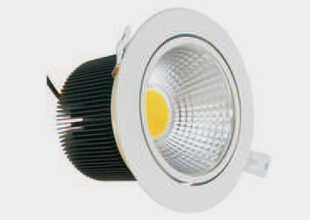 LED Down Light 