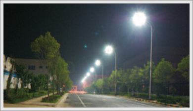 Street Light 